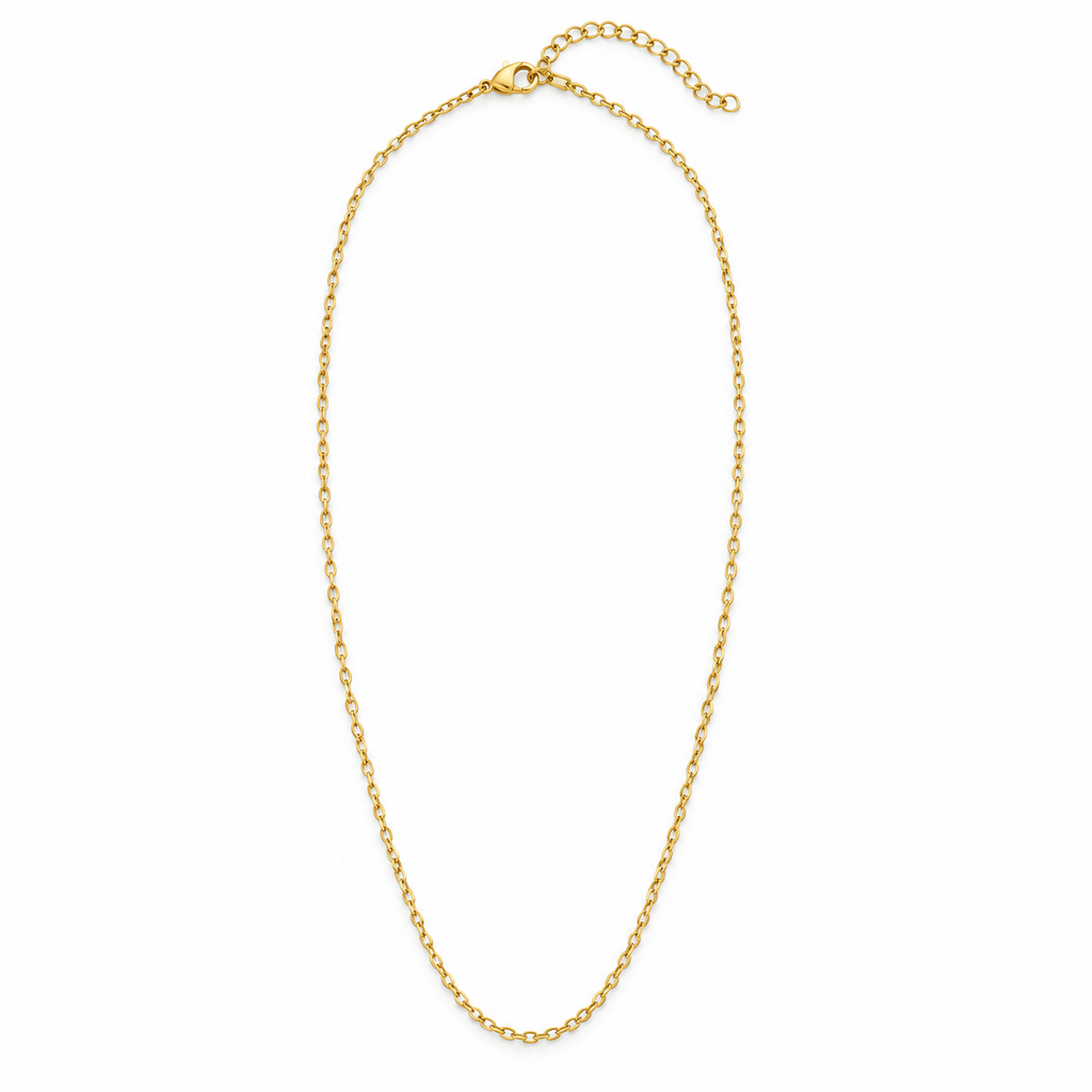 Hansima stainless steel gold necklace chain with clasp and extender